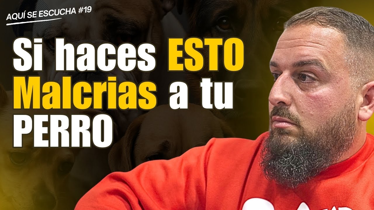 7 Errores al Educar a tu Perro | Adiestrador Militar de Élite