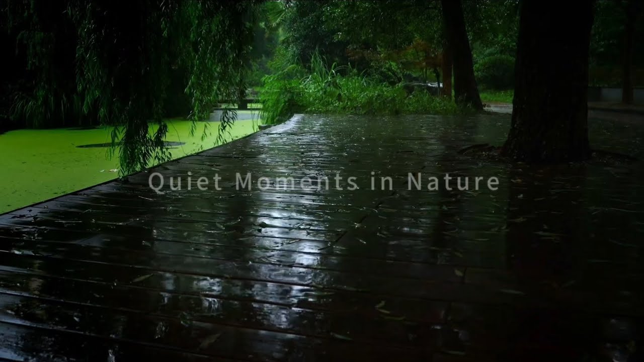 Quiet Moments in Nature | Rain on Stone Path  #RainSounds #NatureAmbience #NoMusic #AmbientSounds 