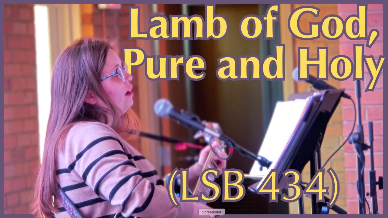 Lamb of God, Pure and Holy (LSB 434) — Acoustic Guitar | Acoustic Hymn Sing