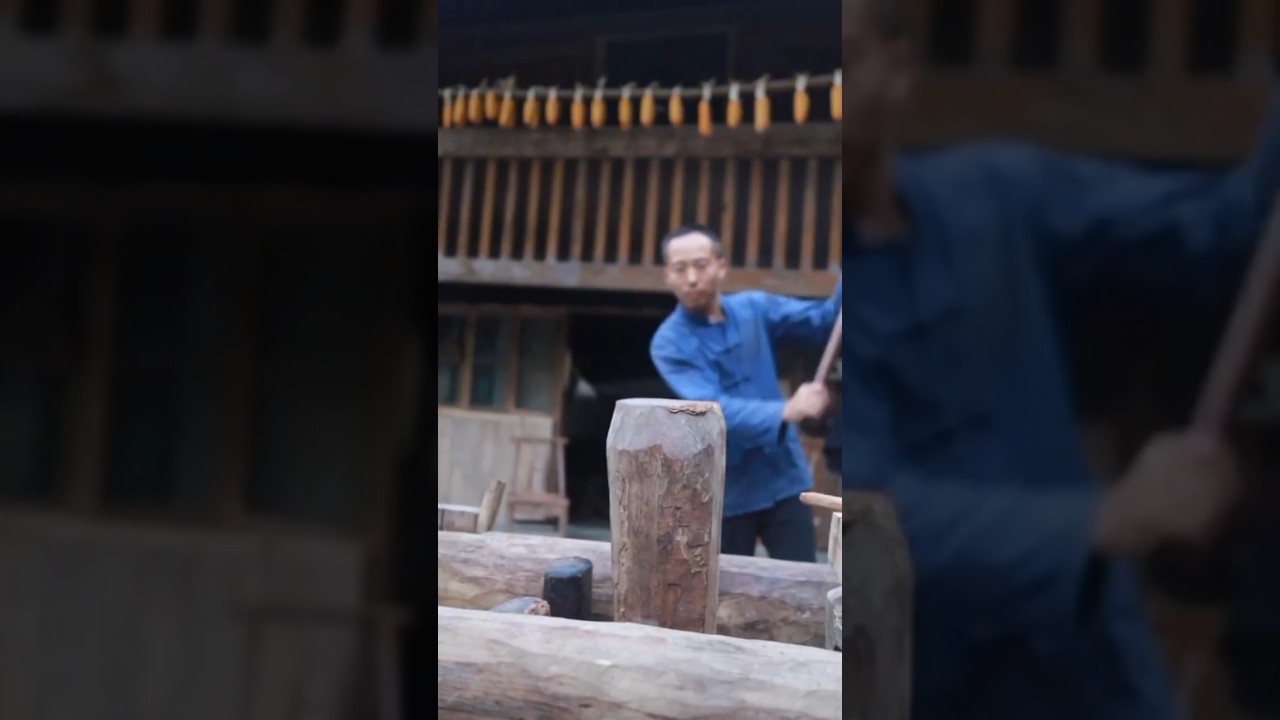 Making traditional oil from Camellia oleifera seeds 