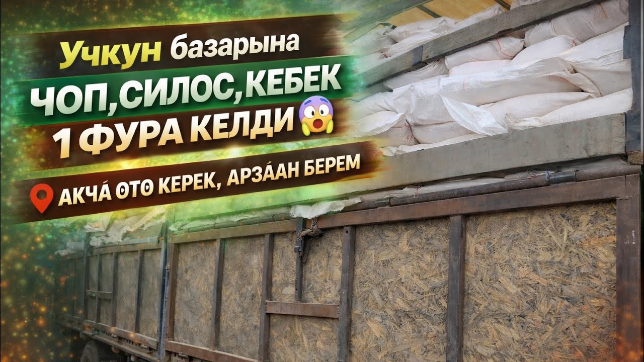 Учкун базарыра Чоп, Силос, Кебек 1 Фура келди😱 Акча өтө керек Арзан берем