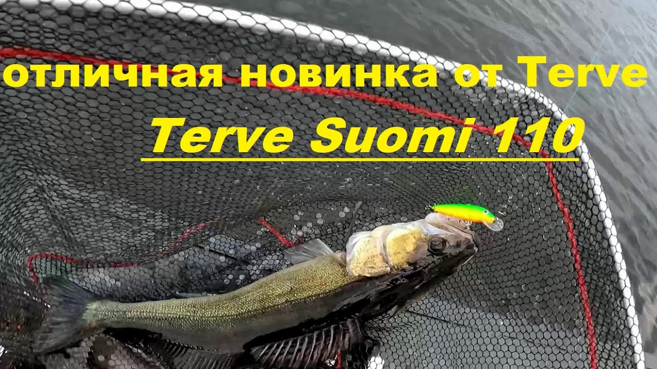 Любой хищник на Терве Суоми 110.