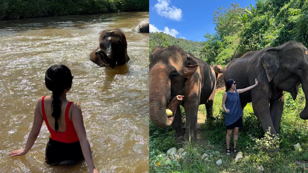 We spent the day with elephants! *I cried, they are beautiful*