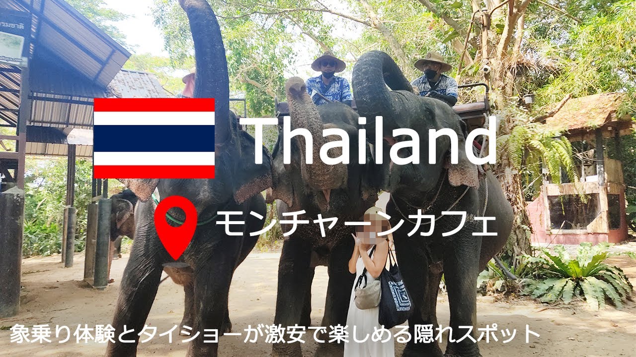 タイの象乗り体験ができる穴場カフェ  モンチャーンカフェ