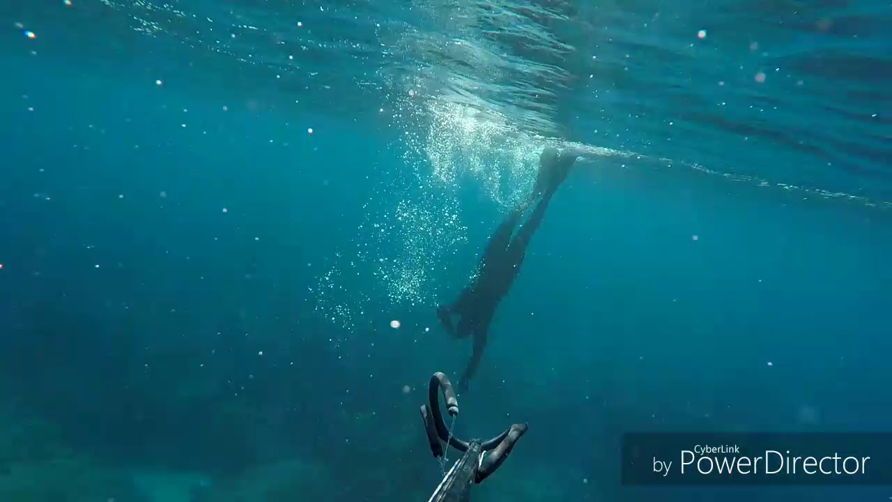Spearfishing kos rofos 16 kila
