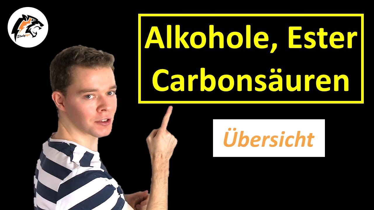 Alkane, Alkohole, Carbonsäuren & Ester (Übersicht) | Chemie Tutorial