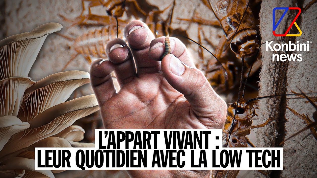 Appart' 