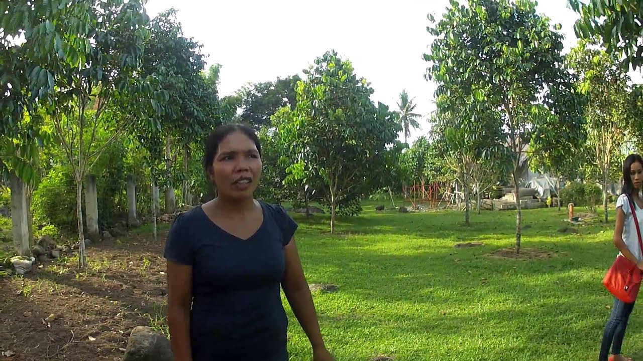 Alaska Als Homestead in Valencia, Negros Oriental, Philippines - Philippines Expat