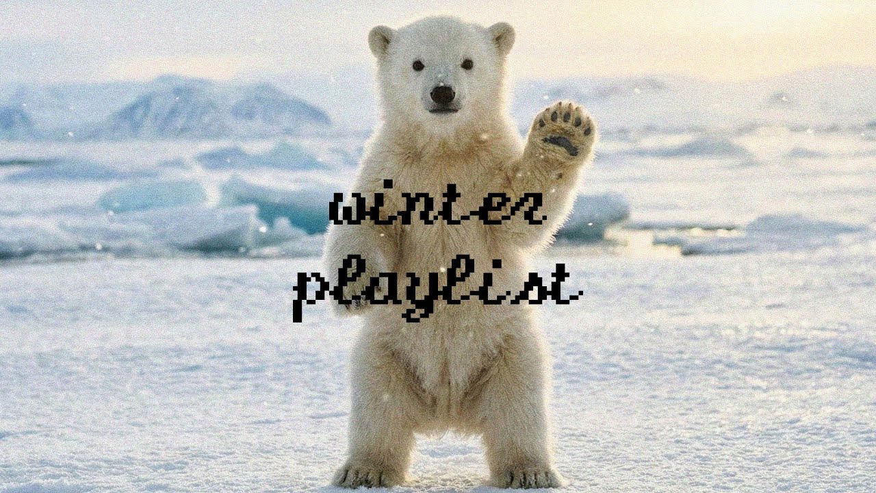𝐩𝐥𝐚𝐲𝐥𝐢𝐬𝐭 다가올 봄한테 인사하는 겨울 플레이리스트| winter cafe playlist  | 카페음악 매장음악