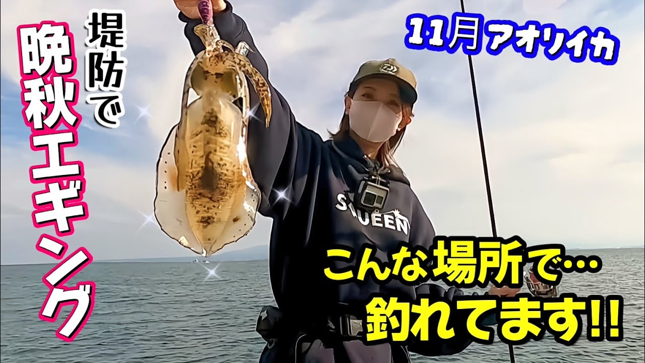 【エギング】堤防でアオリイカの数釣り!! こんな場所で釣れてます♪