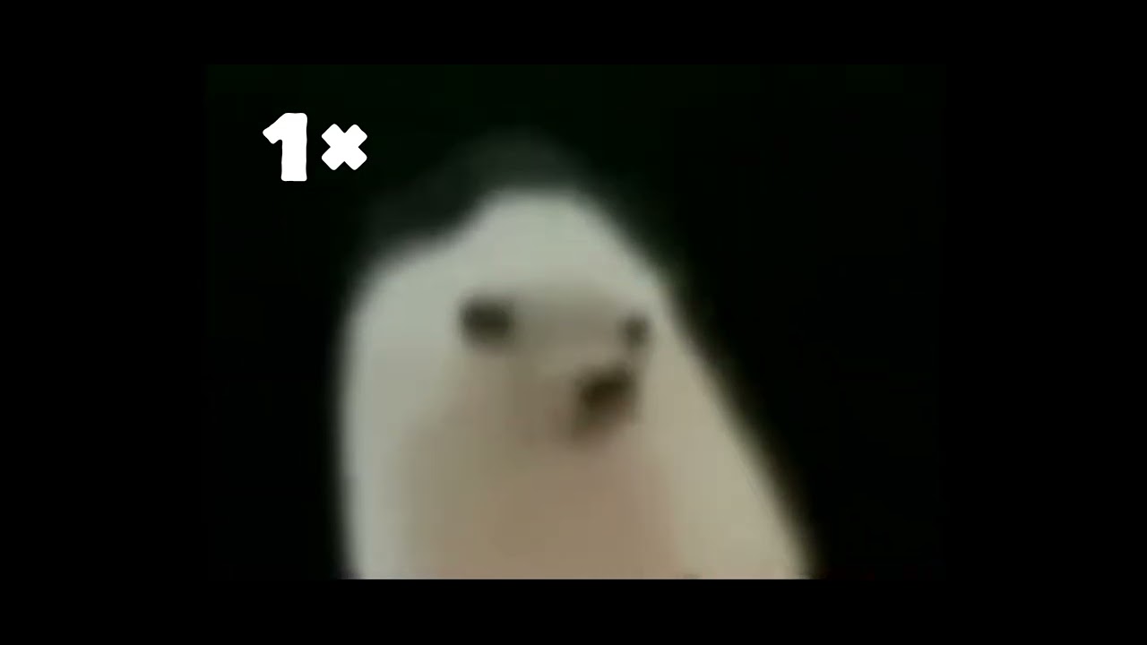 Ежик танцует(но с каждым разом все быстрее и быстрее!!!)