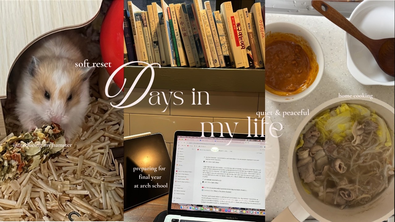 🧚🏻 introvert diaries |  days in my life before locking in for my thesis | hamster🐹, homecooking🥓