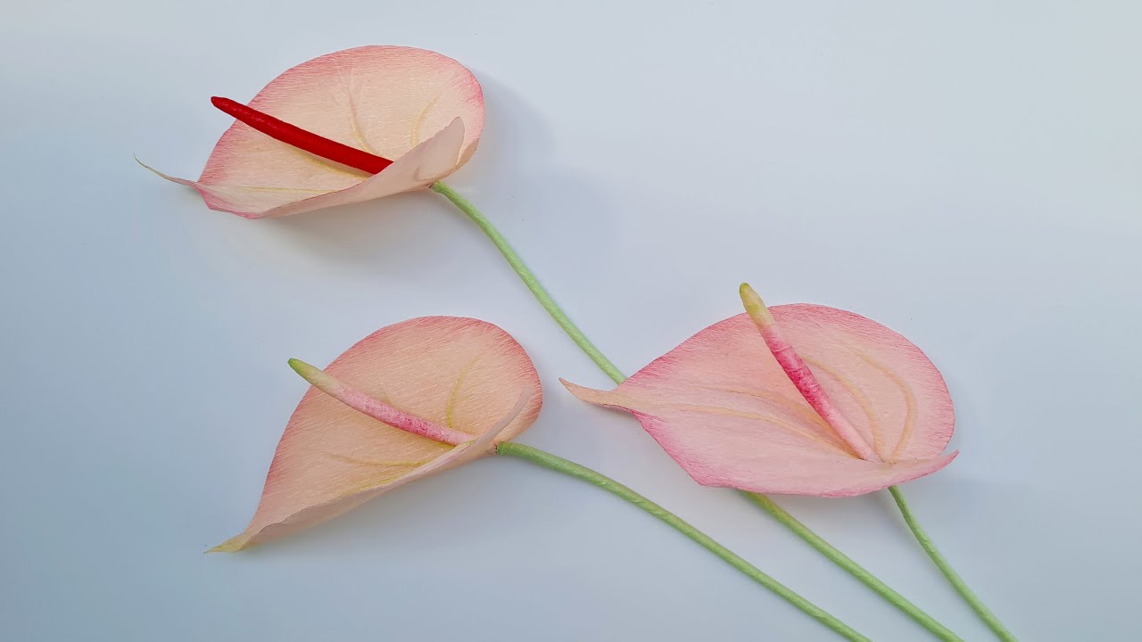 How to make Anthurium from crepe paper / Paper Flower / Góc nhỏ Handmade