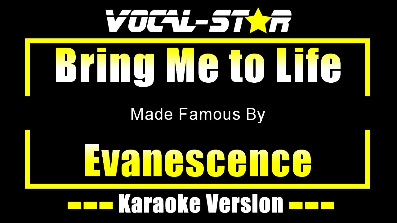Bring Me to Life - Evanescence KARAOKE Without Backing Vocals