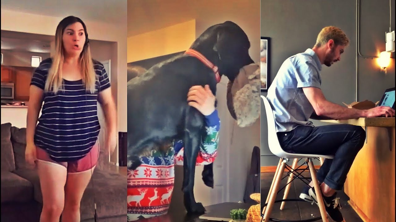 Work From Home Fails During Lockdown - [U Fail Daily]