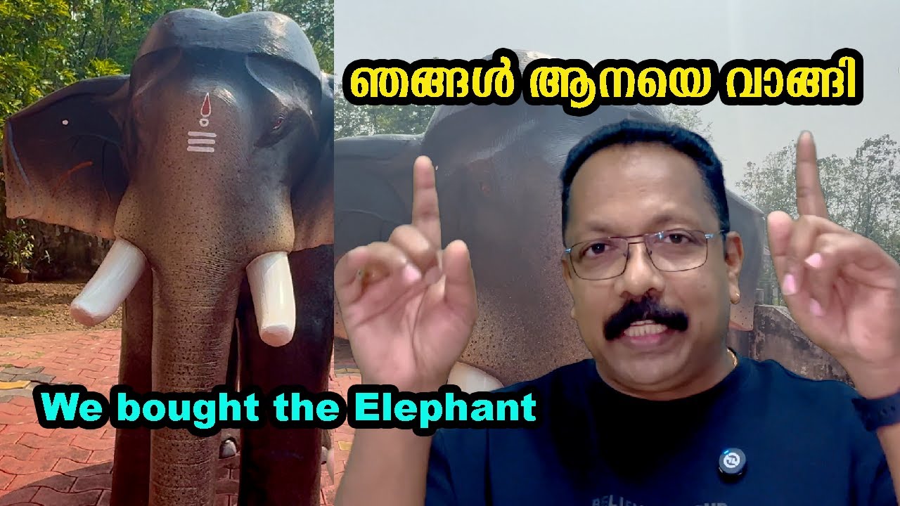 🐘ഇനി ആനയെ നിങ്ങൾക്കും വാങ്ങാം / Elephant  making 