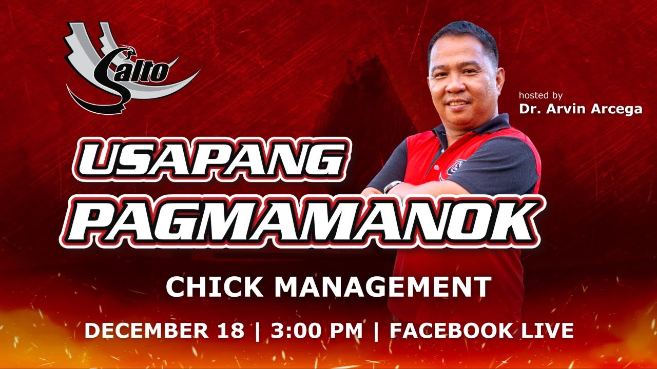 Usapang Pagmamanok