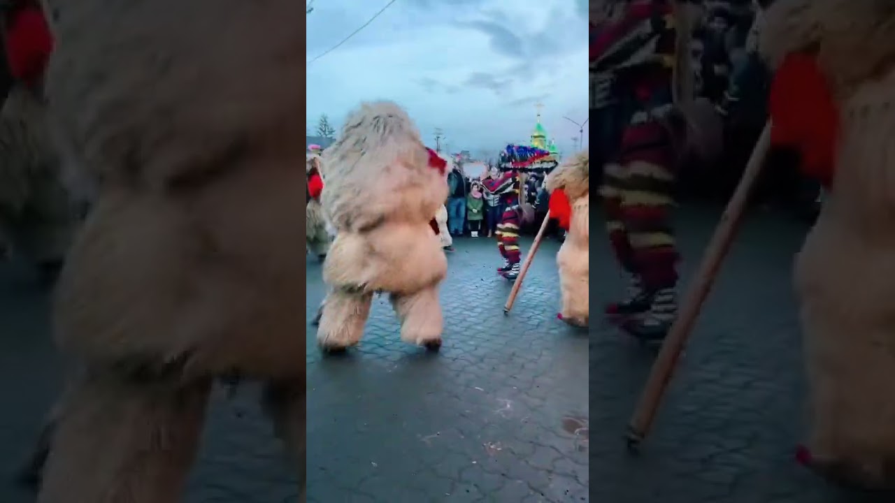 Datini, obiceiuri și traditii  de Anul Nou #comănești #traditii #joculursului #tradition #capra