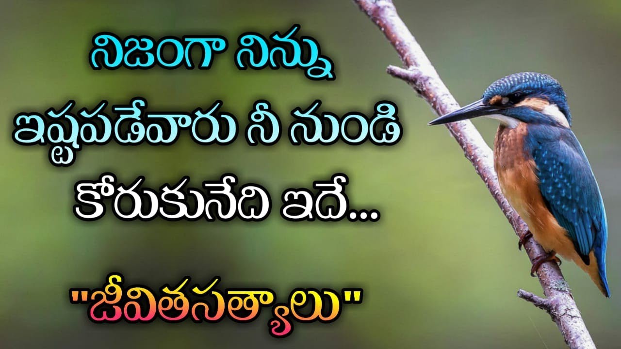 జీవిత సత్యాలు #254 |మంచి మాటలు|Inspirational quotes|Motivational quotes|సూక్తులు|Telugu quotes