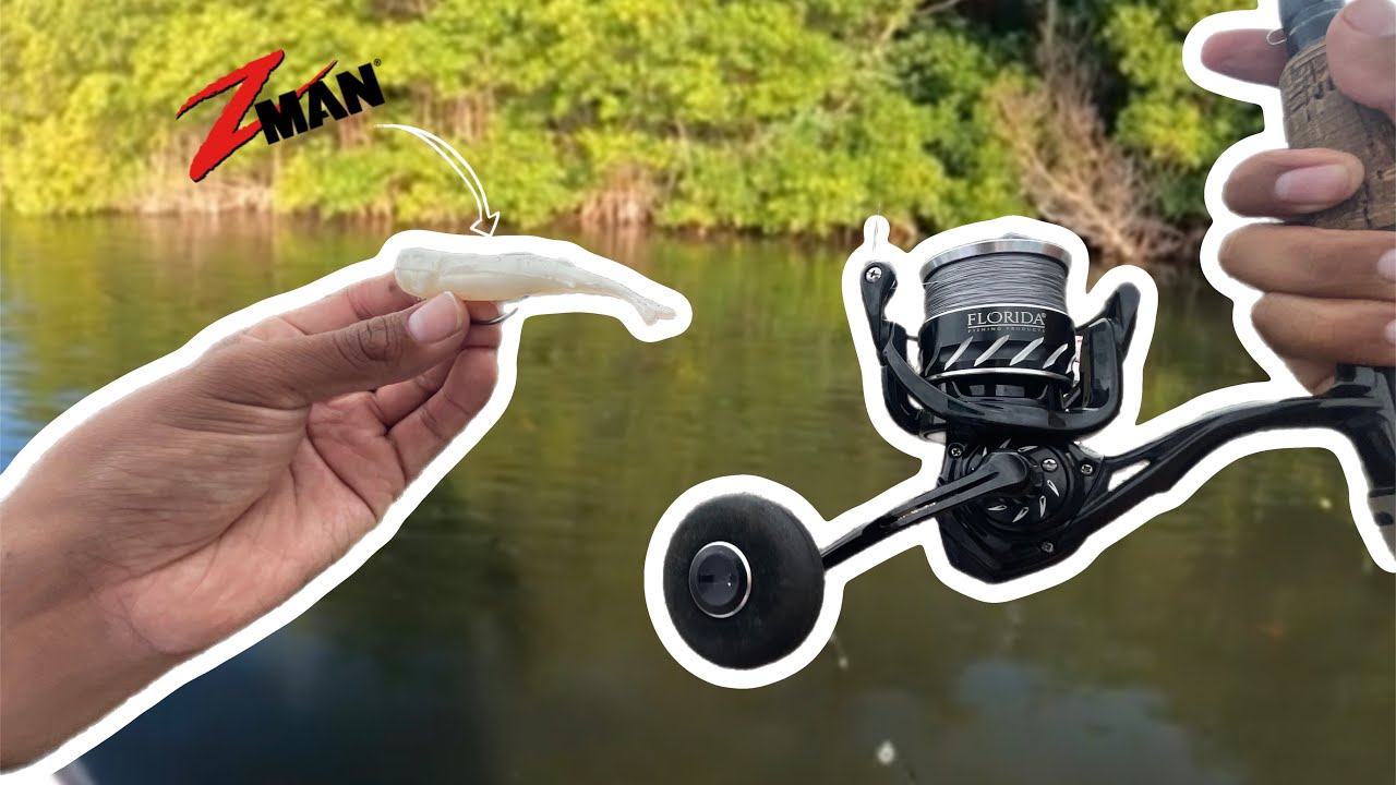 FISHING FOR SNOOK IN SHALLOW WATERS!