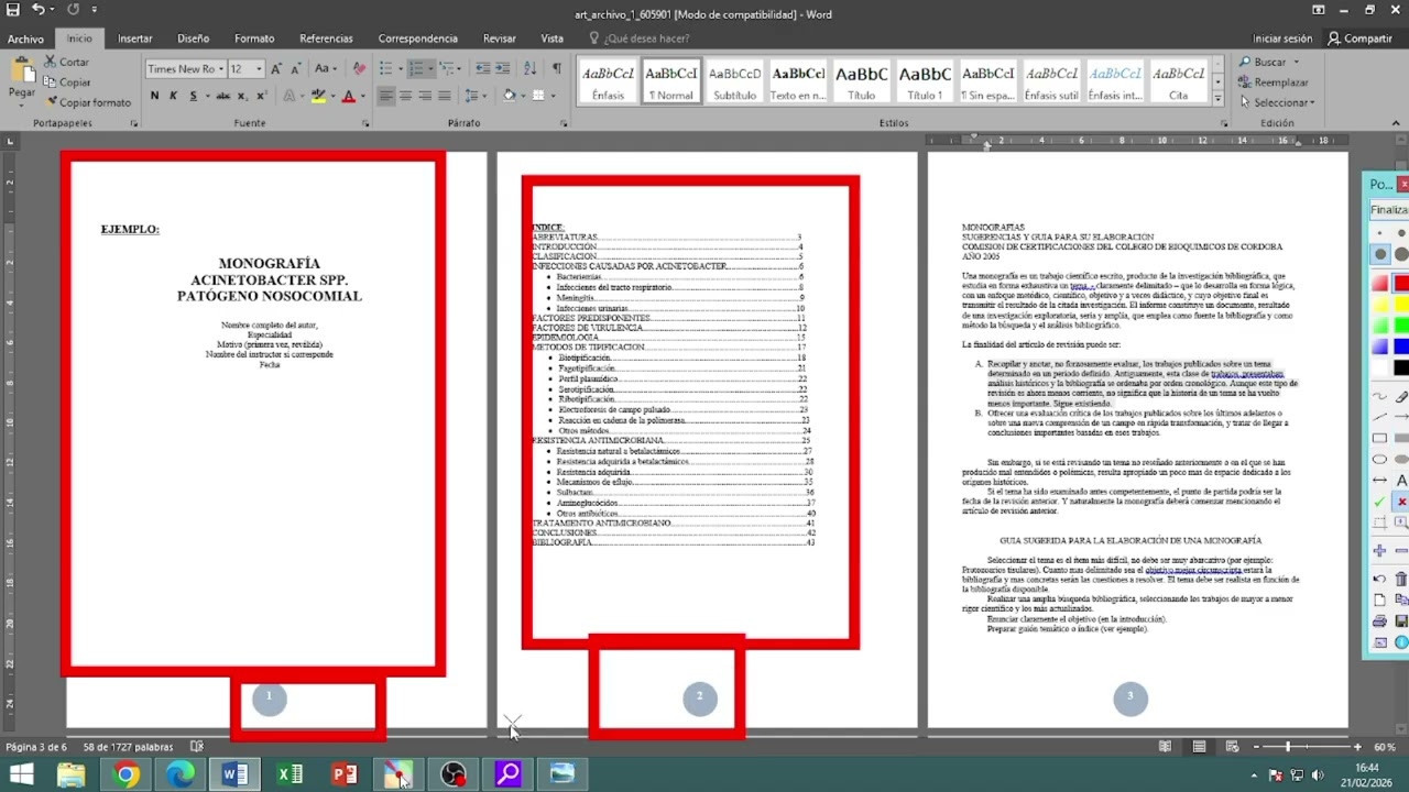 001 NUMERACION DE PAGINA