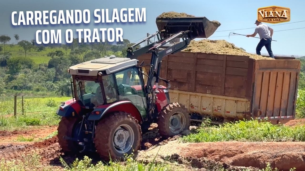Carregamento de silagem com o trator. Sol tá quente por aqui.