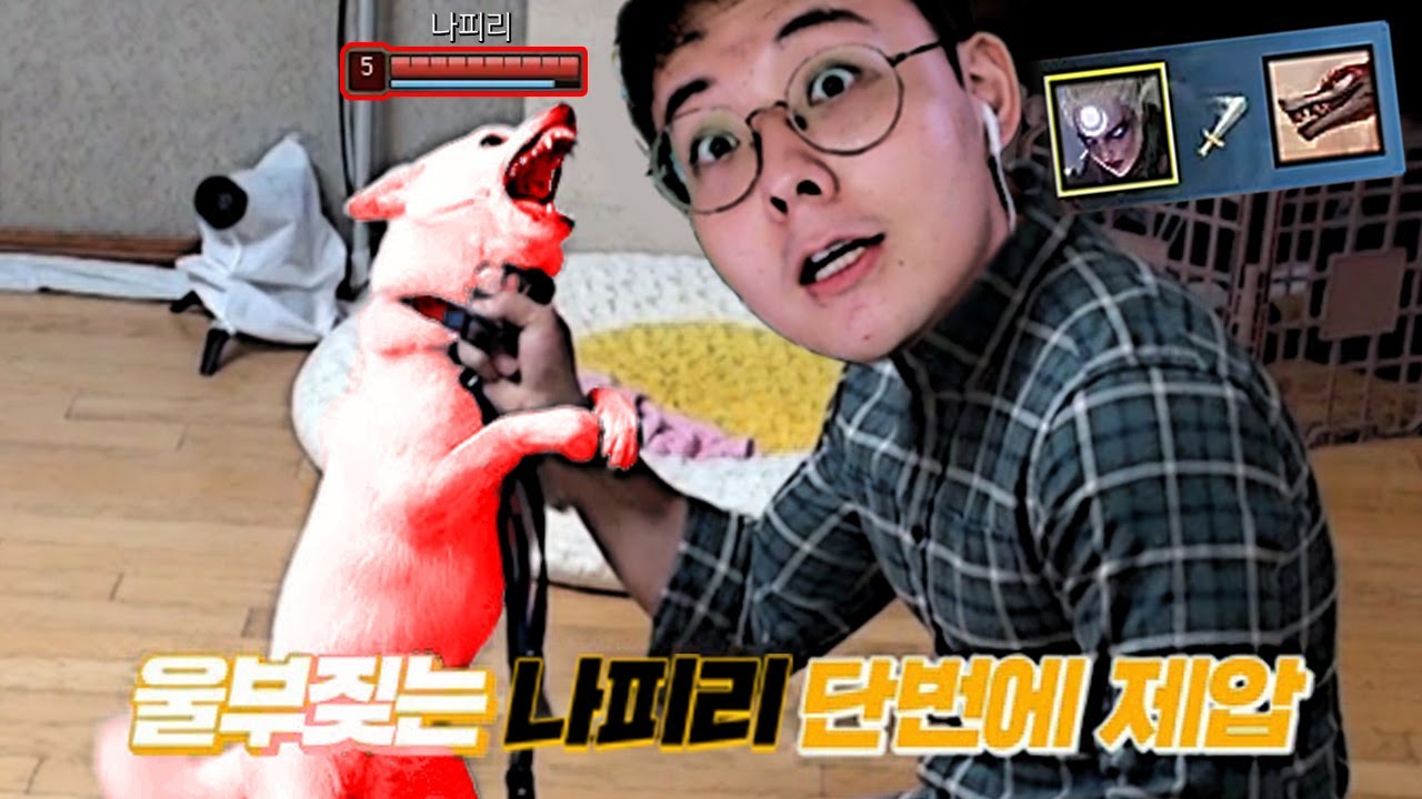 나피리 안돼, 기다려