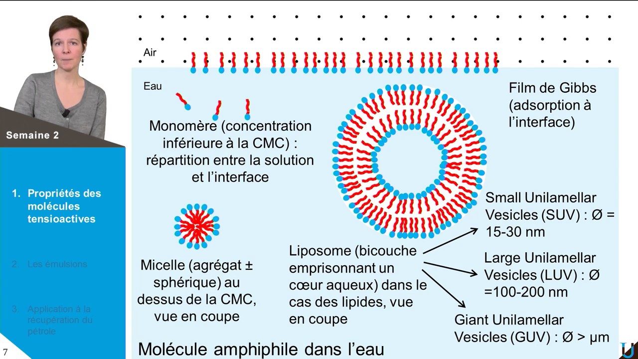 LES PROPRIÉTÉS DES TENSIOACTIFS ET LEURS STRUCTURES EN VOLUME