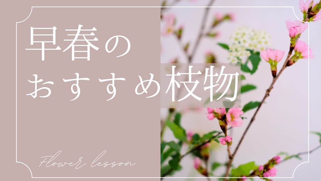 早春のおすすめ枝物　枝物を飾るときの注意点/1月～3月楽しめる早春の枝物/春の枝物/早春の枝物/雪柳/小手毬/桜/アカシアミモザ　京都フラワーアレンジ教室