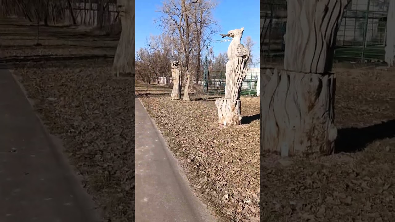 11 марта 2026 г.