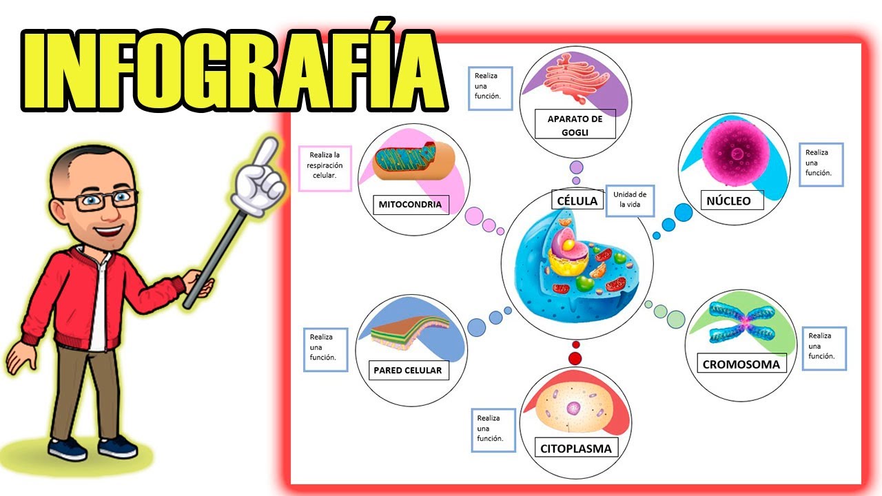 Cómo hacer una infografía en Word de forma fácil para tus tareas virtuales