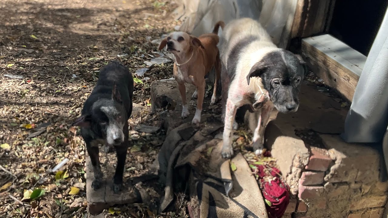 2025 iPad Video # 44