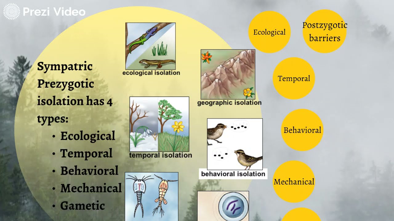 UNIT 5.3 SPECIATION/IB/IGCSE/MYP BIOLOGY/CRAZY BIOLOGY/crazy biology