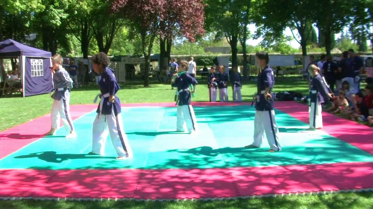 Demo Yoseikan Saint-Cannat 2013