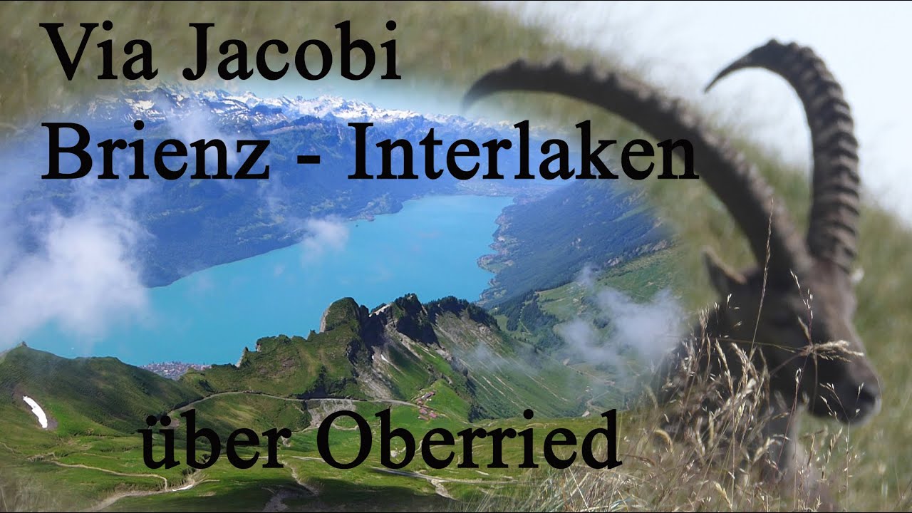 Via Jakobi 6 A)  Von Brienz  bis Interlaken über Oberried, am Nord-Ufer des Brienzer Sees