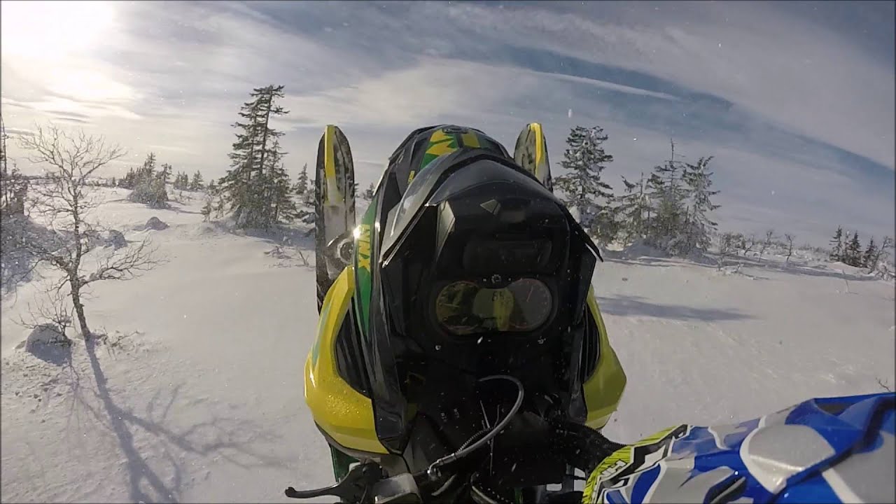 Snowmobile Safari Day. How it's looks like?