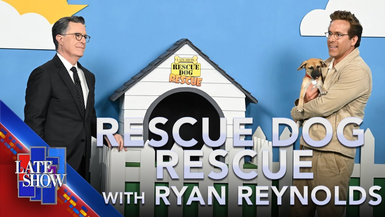 Rescue Dog Rescue with Ryan Reynolds