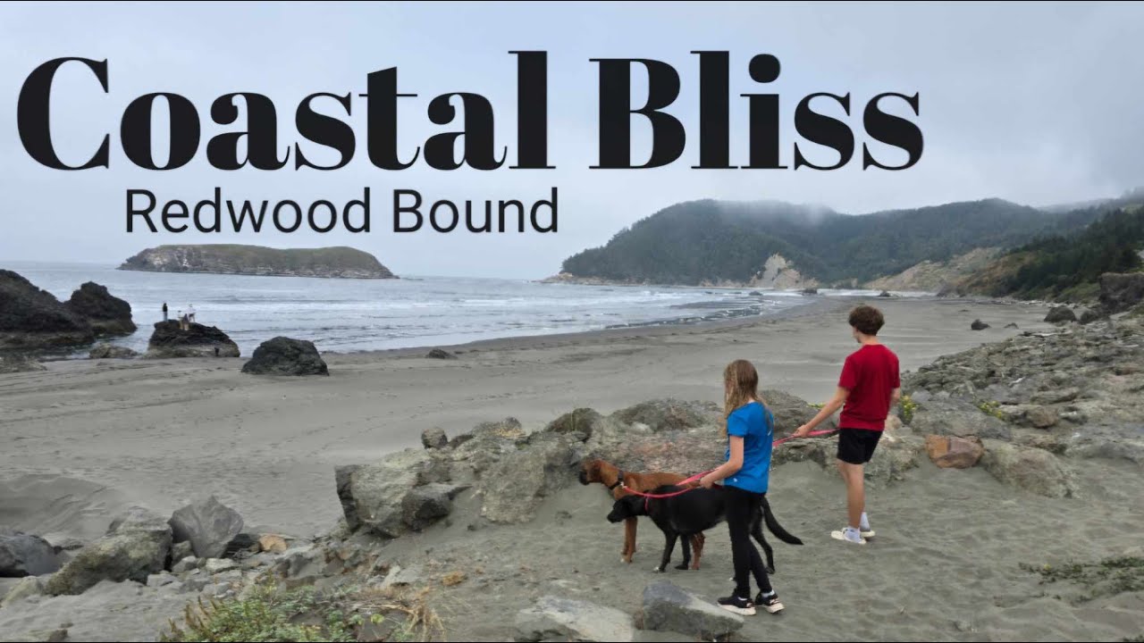 Epic Oregon Coast Road Trip to the Redwoods 🌲🌊 Scenic Camping Adventure!