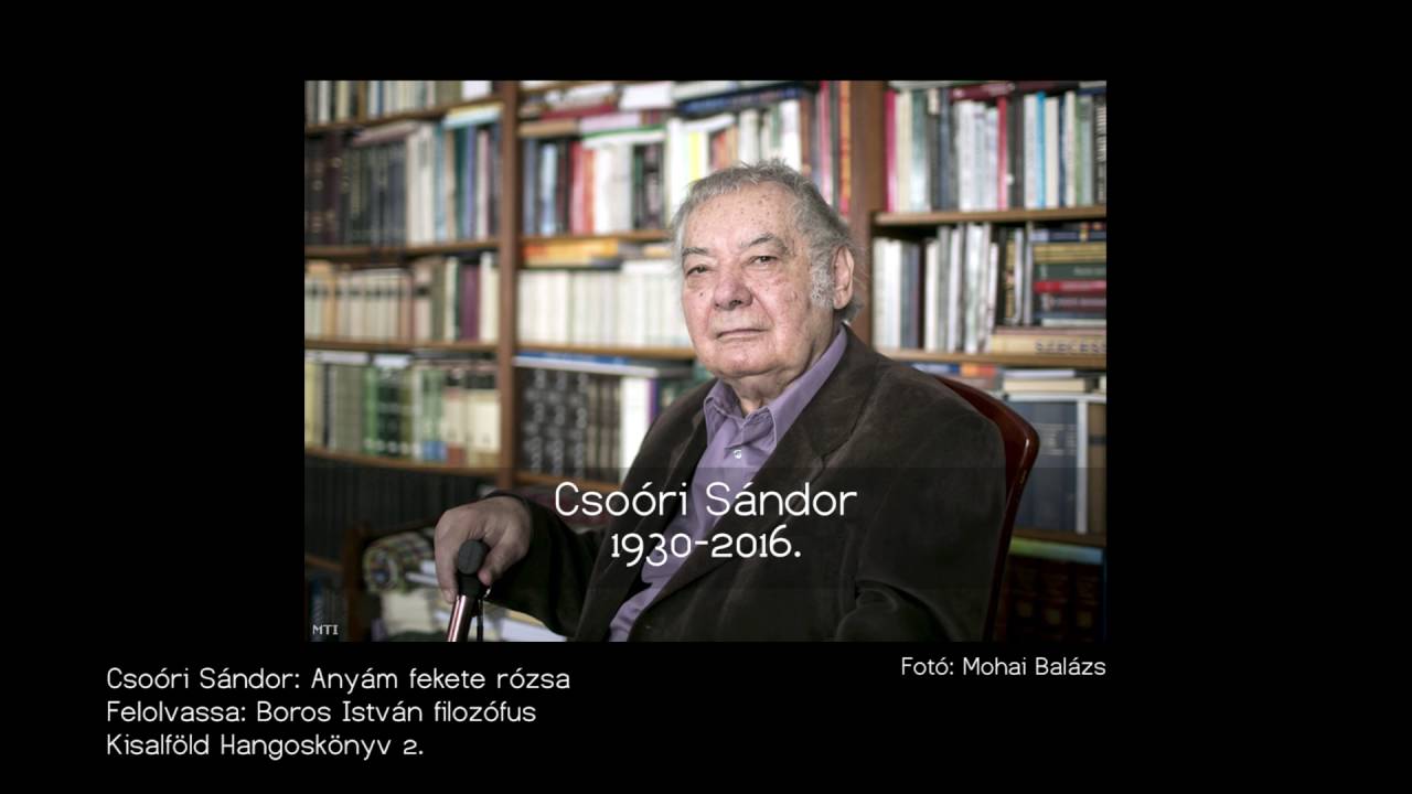 Csoóri Sándor Anyám fekete rózsa