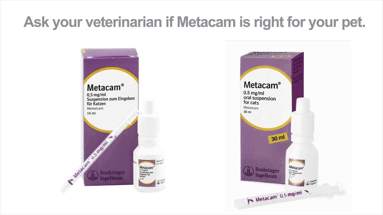 Metacam for Dogs & Cats (Osteoarthritis)
