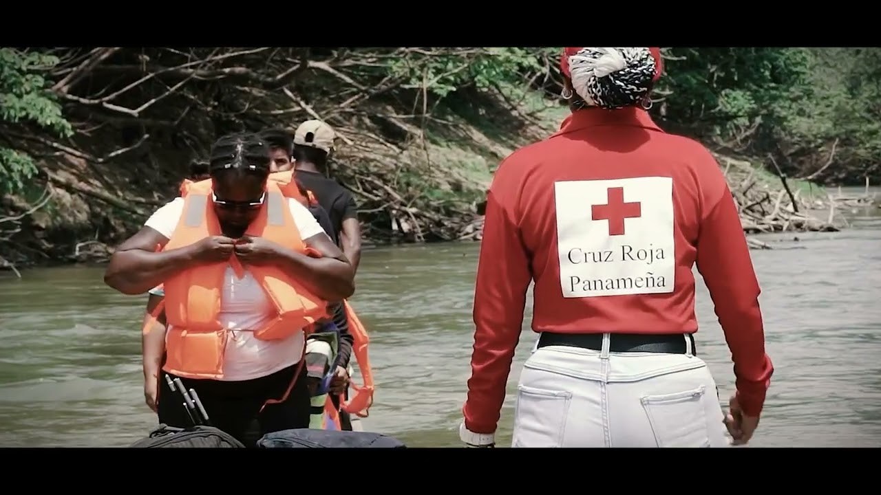 Alianza Programática DG ECHO - IFRC