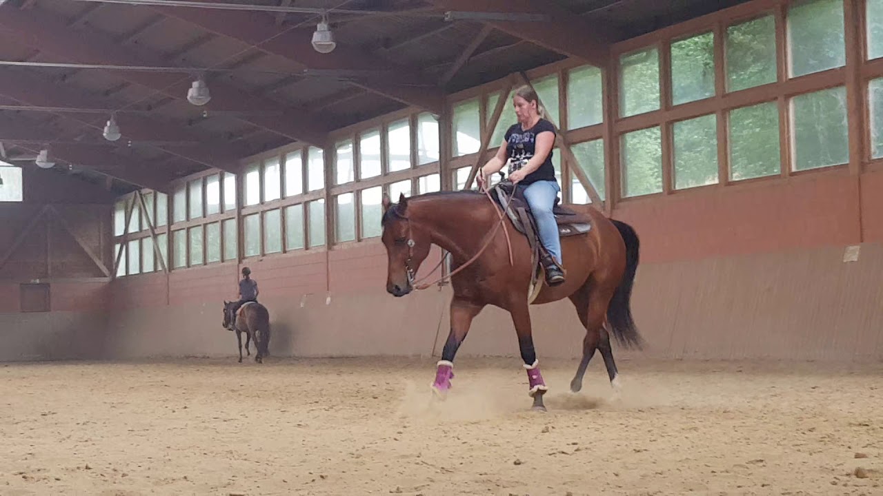 CrossfitHorses nach 5 Wochen