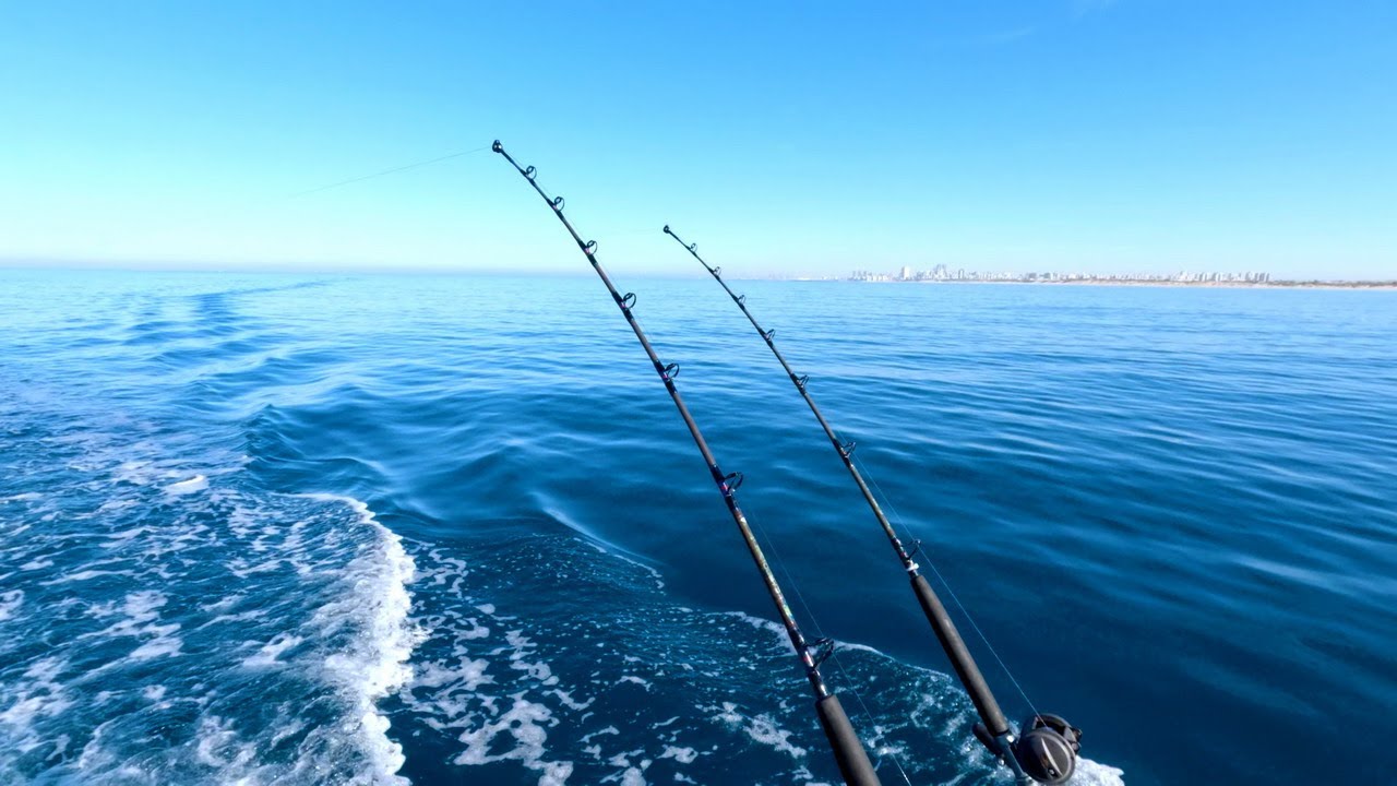 עוד טרולינג בוקר עם תפיסה נדירה 😮 וגם פלמידות 🐟Trolling fishing with another rare catch HE/EN Subs