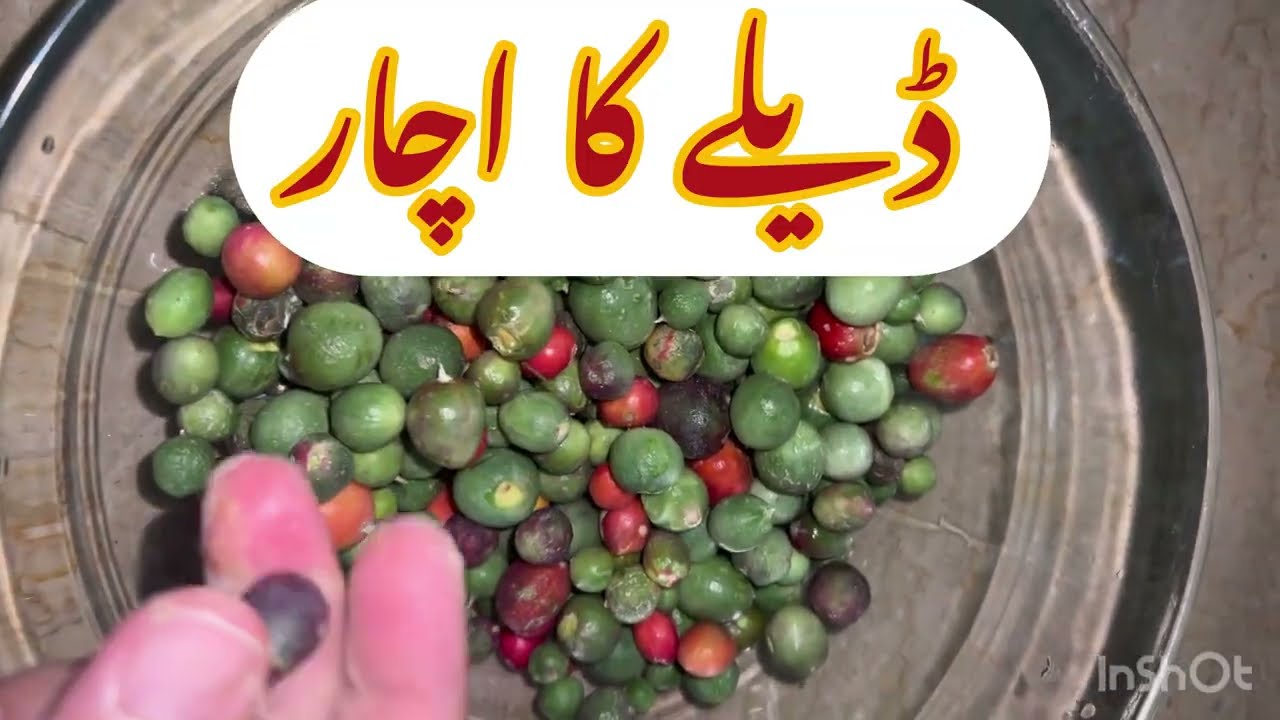 Tenti Dela Pickle Recipe |Dela Ka Achar Banane Ka Tarikia | Kher or Kerada or Karonde ka Achar