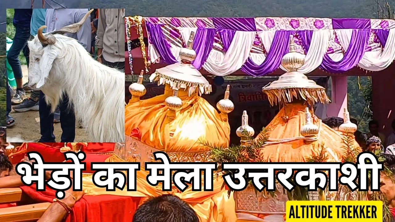 भेड़ों का मेला उत्तरकाशी | Bhedon ka mela | ठंडी कमद भेरों का तमाशा