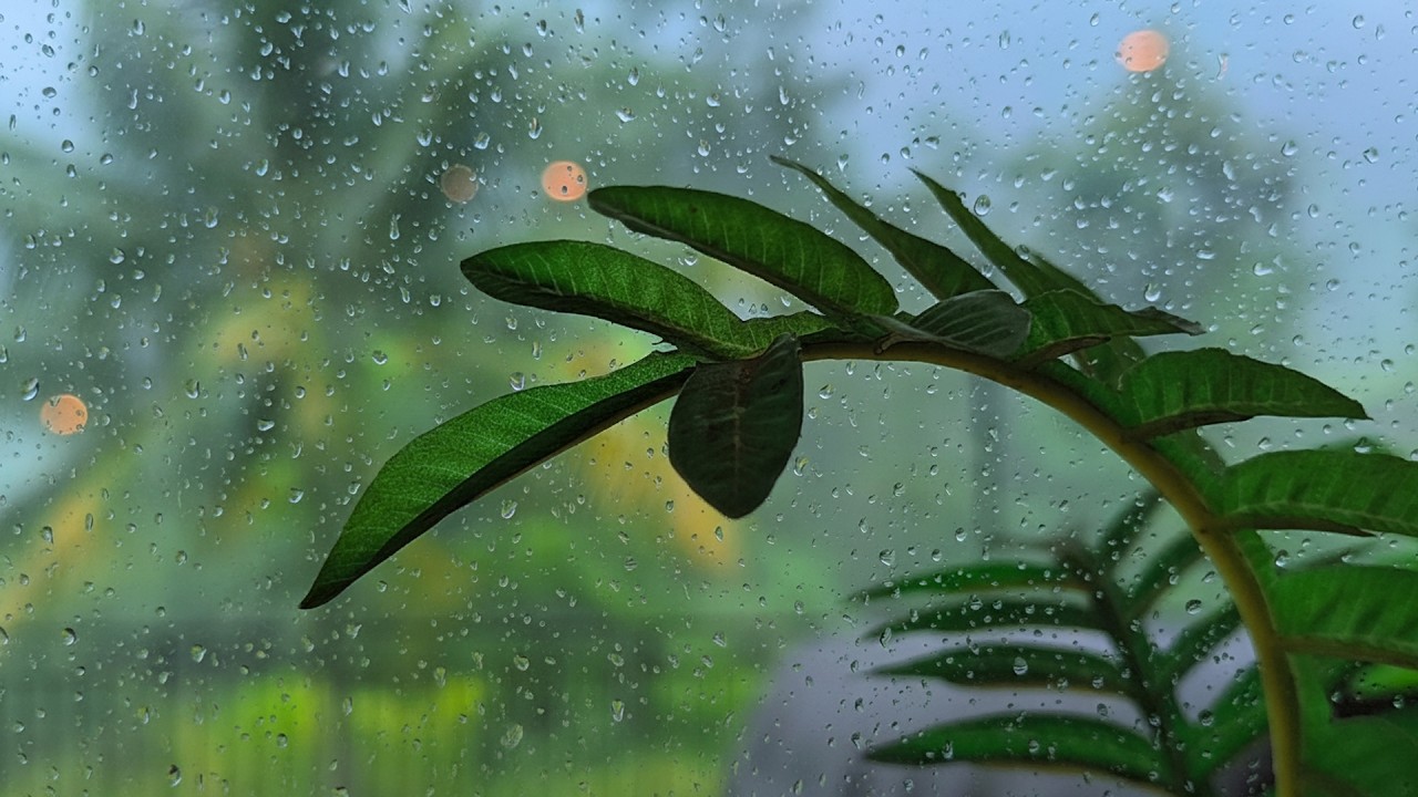 Miracle Healing Deep Sleep Music 🌙 Fall Asleep Instantly & Stop Overthinking