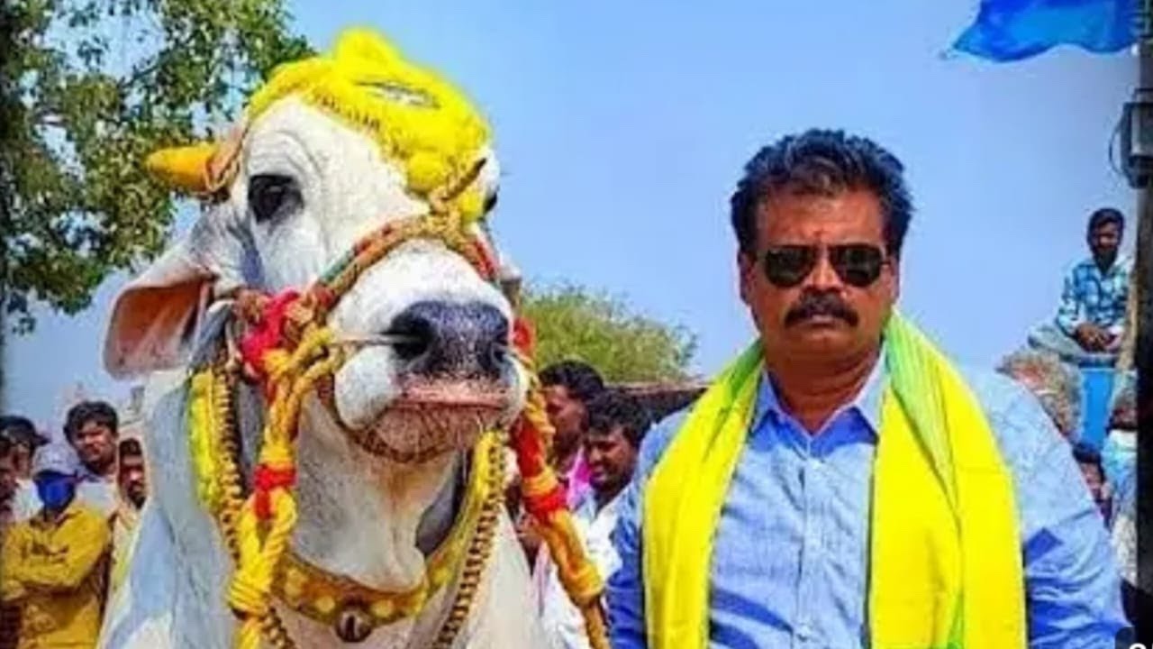 💥బాదినేనిపల్లె గ్రామం న్యూ కేటగిరి విభాగం 🔥4జత 🔥RK bulls 💥🥇🥇🏆🏆5646🔥6
