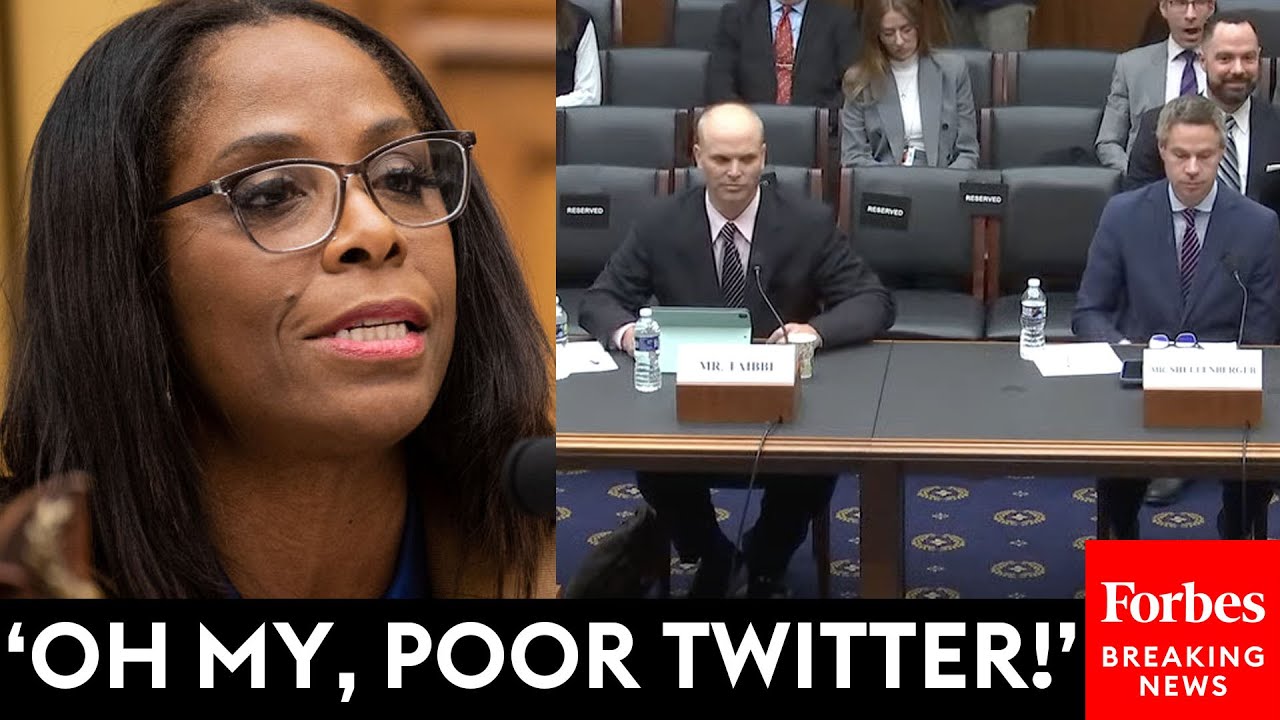 Stacey Plaskett Slams Matt Taibbi, Michael Shellenberger As 'Elon Musk's Scribes' To Their Faces