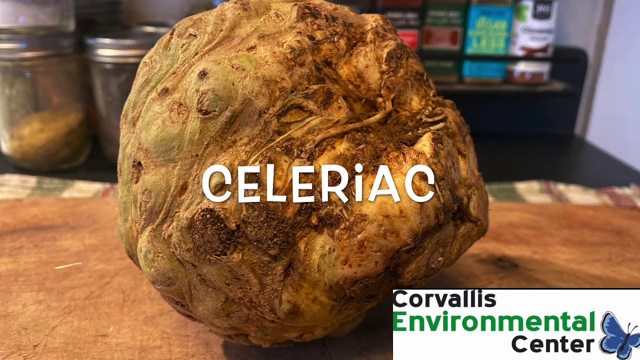 Winter Harvest Highlight: Celeriac