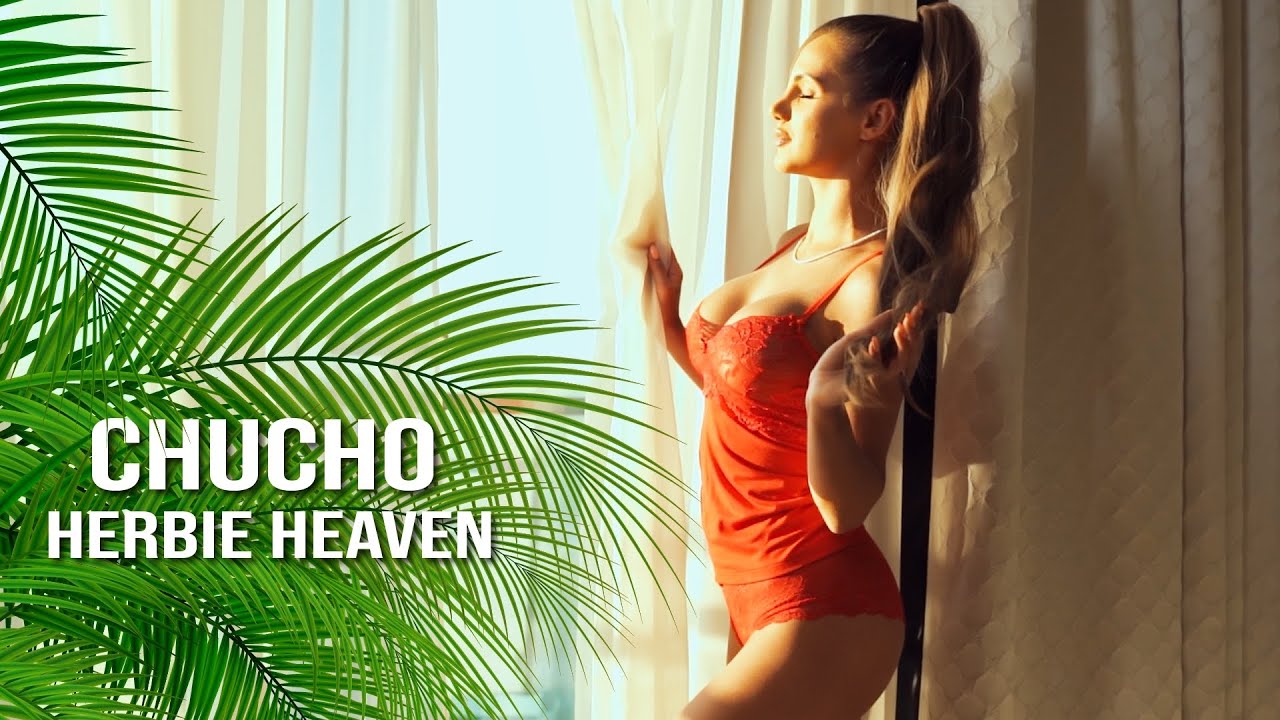 CHUCHO - Herbie Heaven (Official Video) Reggaeton 2025 Latino